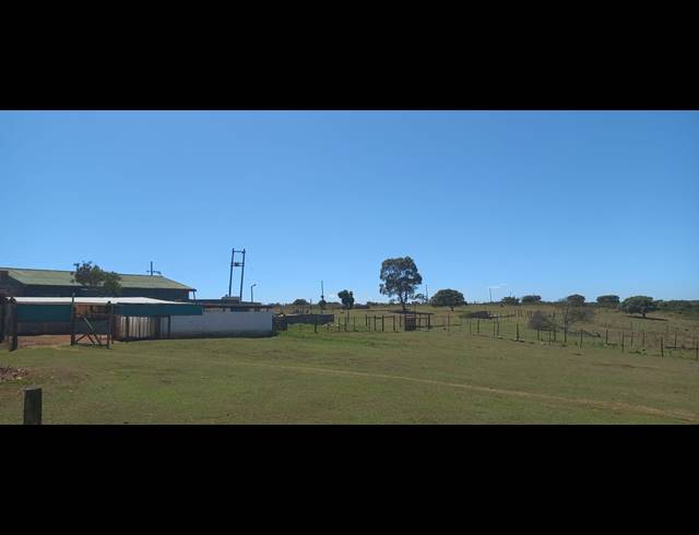 9HA FARM FOR SALE IN UITENHAGE CENTRAL